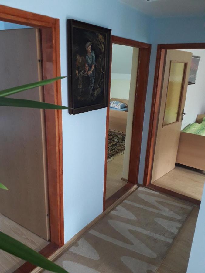 Miljevina Prenociste Vitas B&B 외부 사진